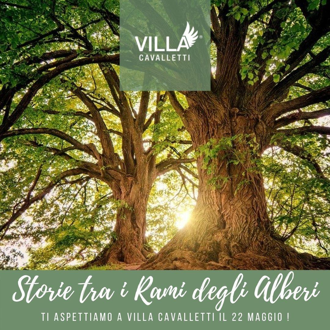 Storie Tra I Rami Degli Alberi