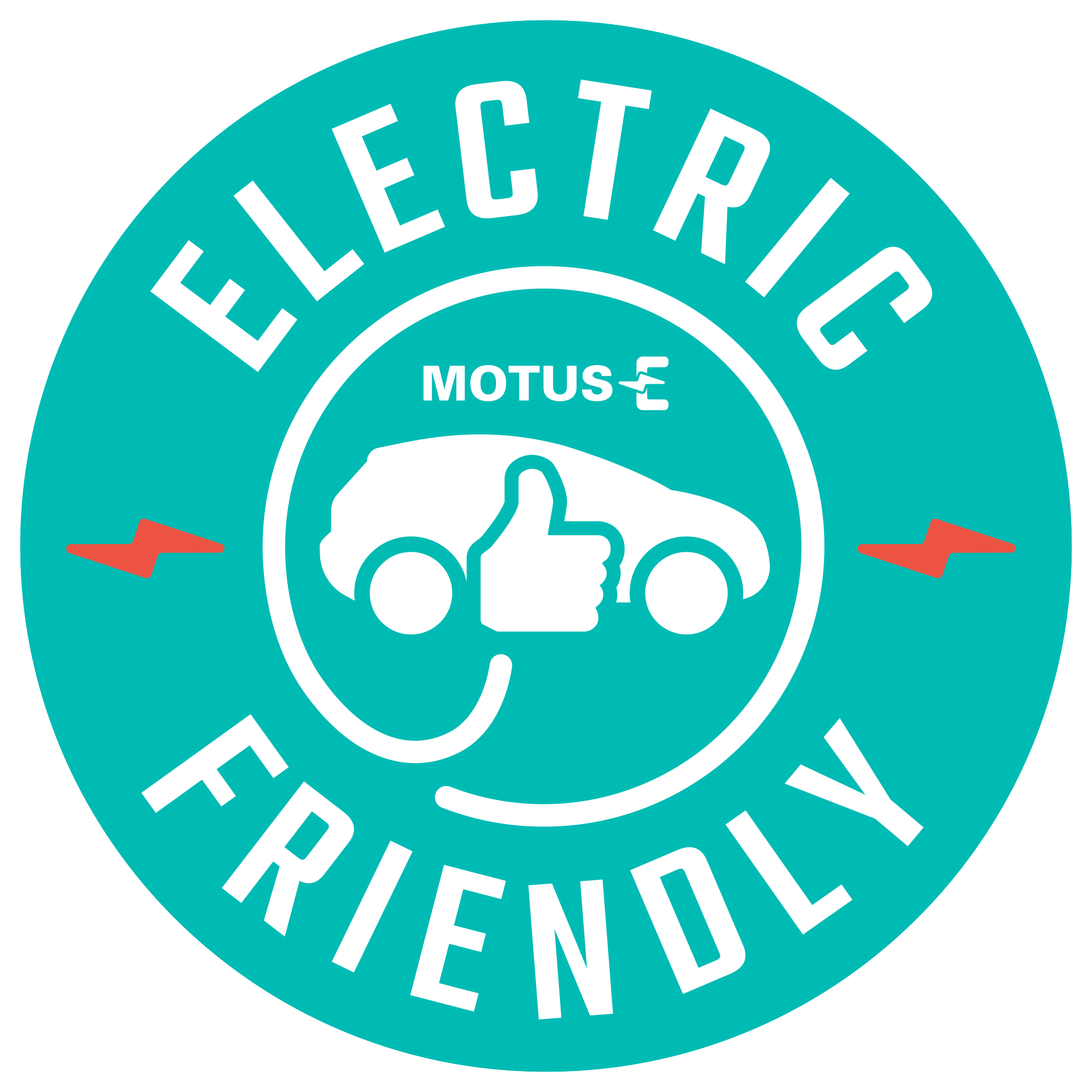 electric friendly