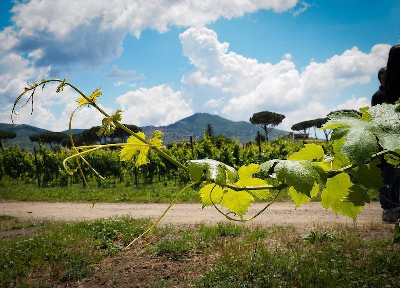 Attività e servizi