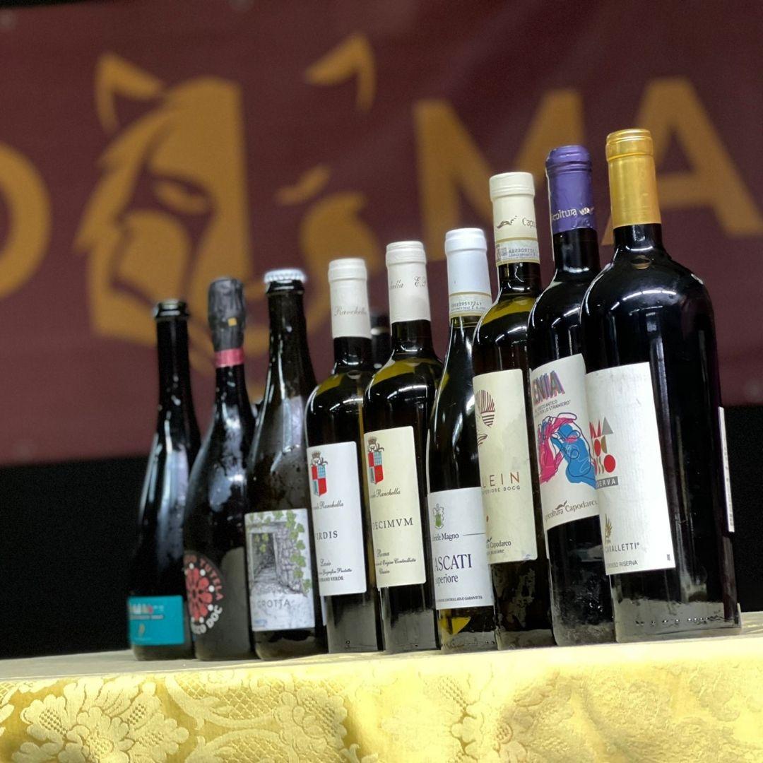 Degustazione Vino all’esordio delle nostre Wolves