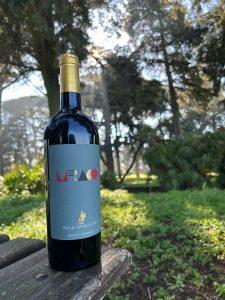 Wine Tasting Experience
