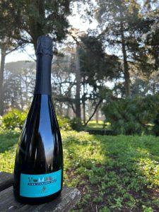 Wine Tasting Experience