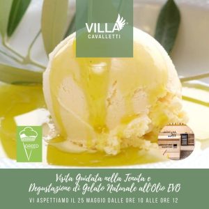 Visita Guidata nella Tenuta e Degustazione di Gelato Naturale all'Olio EVO (25 maggio)